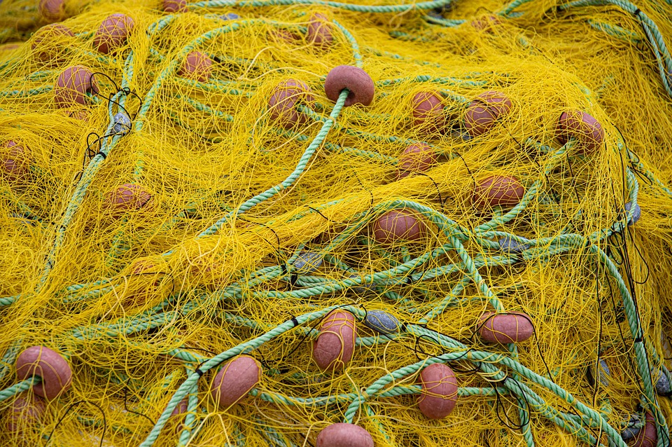 Fish Nets Fishing Free photo on Pixabay Pixabay