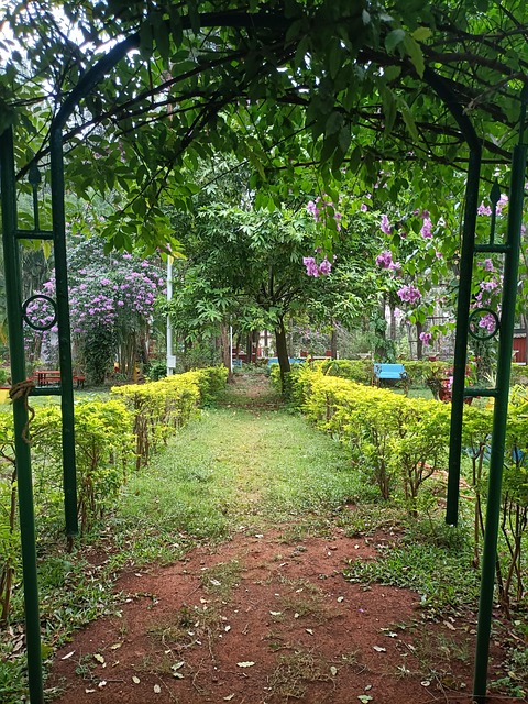 Jardim, Natureza, Florescer, Planta