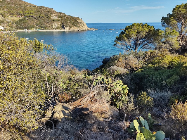 Meer, Sommer, Landschaft