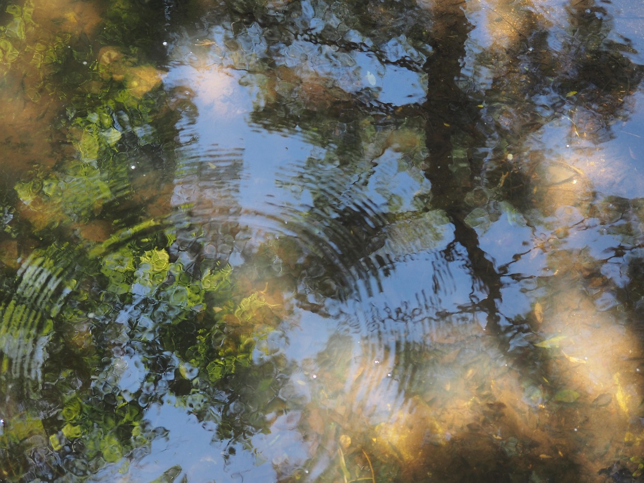Download free HD stock image of Stream Reflections Free Stream Reflections photo and picture
