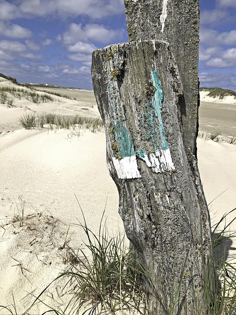 Free Beach Sea photo and picture