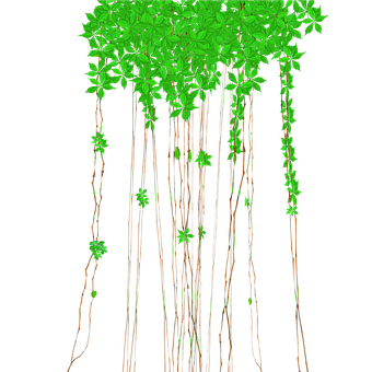 Free Hanging Vines Vines illustration and picture