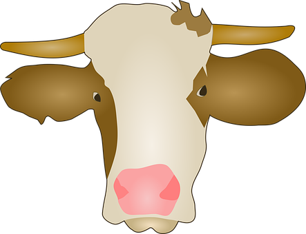 Vacă, Laptele Vacii, Bovine, Păşune