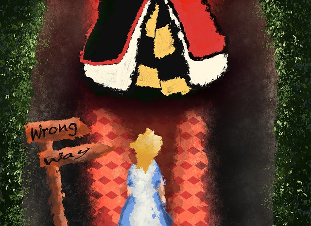 Alice Au Pays Des Merveilles Déguisement