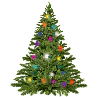 Free Christmas Christmas Tree illustration and picture