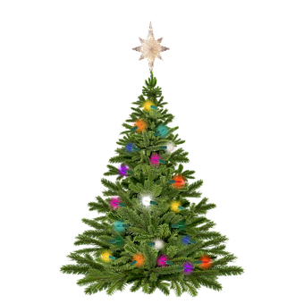 Free Christmas Christmas Tree illustration and picture