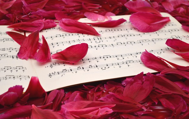 petals, sheet music, songs, class, love songs, concert, love for music, spring, blooms, choir, love, romance, grades, make music, notenblatt, to sing, sheet music, sheet music, choir, choir, choir, choir, choir