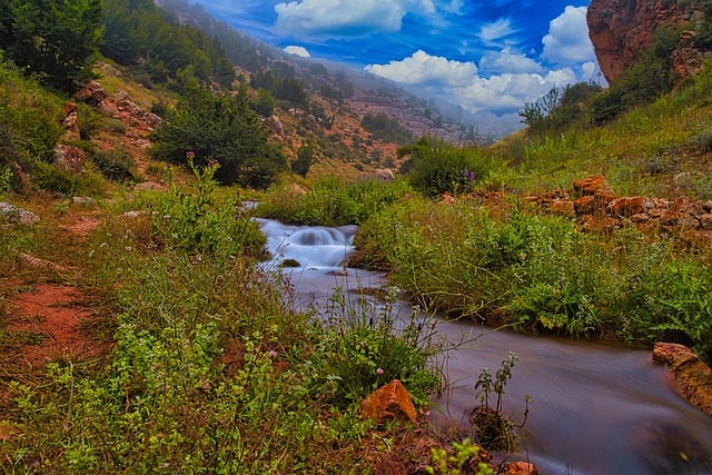 River Stream Brook - Free photo on Pixabay