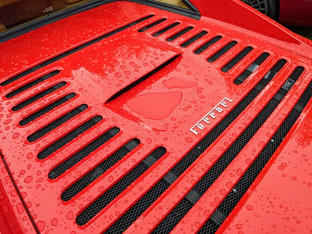 Free Ferrari Rain photo and picture