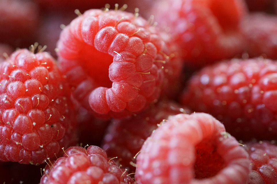 Raspberries Berries Fruits Red - Free photo on Pixabay