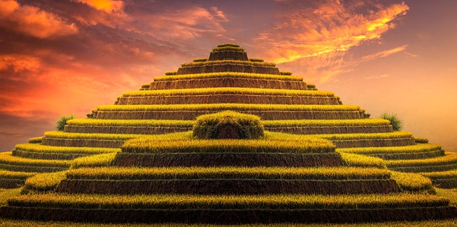 Free rice plantation agriculture illustration