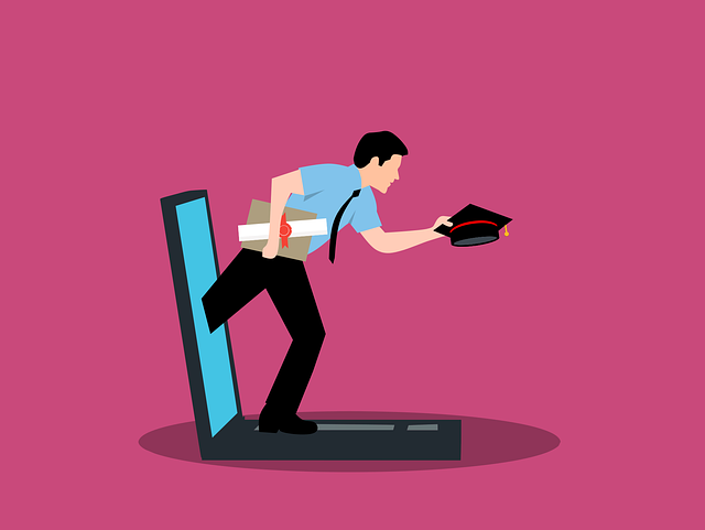 Virtueel Leren, Online Onderwijs
