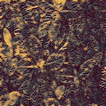 Free Plant Flower illustration and picture