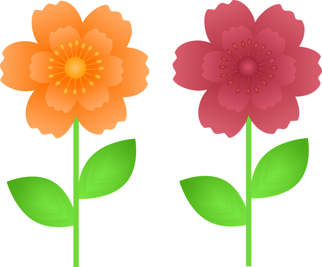 Types Of Flowers Clipart At Skye Milliner Blog Types Of Flowers Clipart At Skye Milliner Blog
