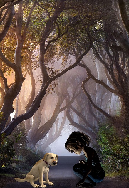 Free background pet forest illustration