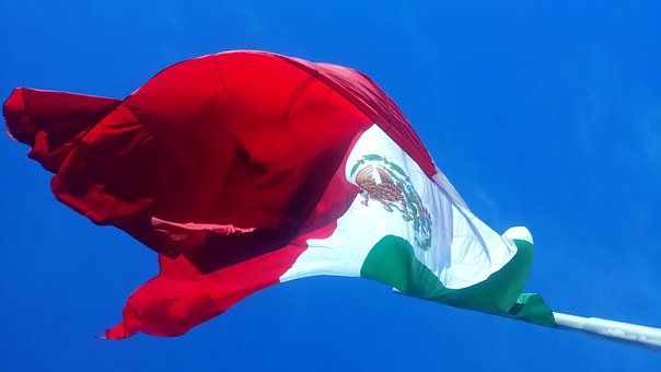 Free Flag Coat Of Arms photo and picture