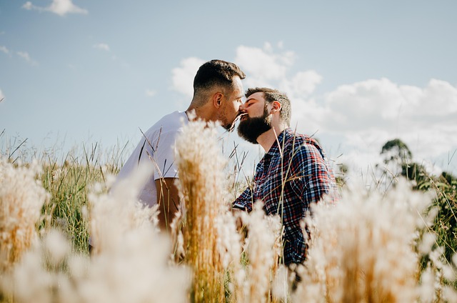 lovers, meadow, outdoors, nature, pride, lgbtqia, love, love is love, equal rights, kiss, lgbtiqa, pride month, world pride