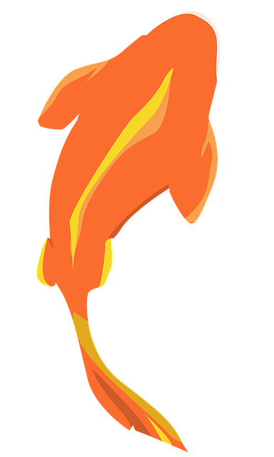 Free carp nature fish illustration
