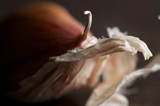 Knoblauch, Makro, Haut, Nahaufnahme