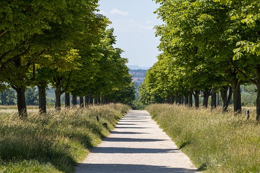 Free Path Avenue photo and picture