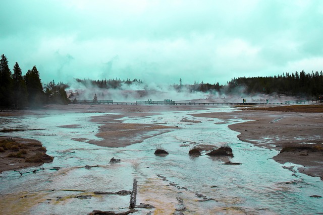 Norris, Geysir, Yellowstone, Wyoming