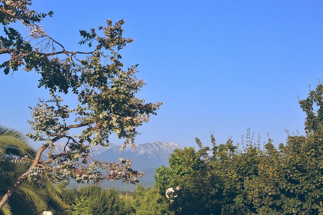 Paisaje, Montañas, Árboles, Cielo, Azul