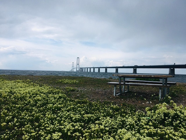 Free Big Belt Bridge Storebelt photo and picture