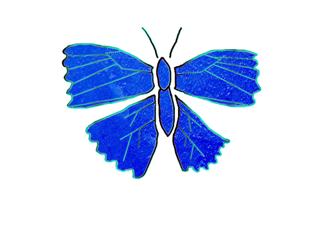 Download free HD stock image of Butterfly Art Free butterfly art drawing illustration