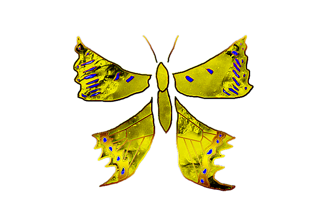 Download free HD stock image of Art Butterfly Free art butterfly drawing illustration