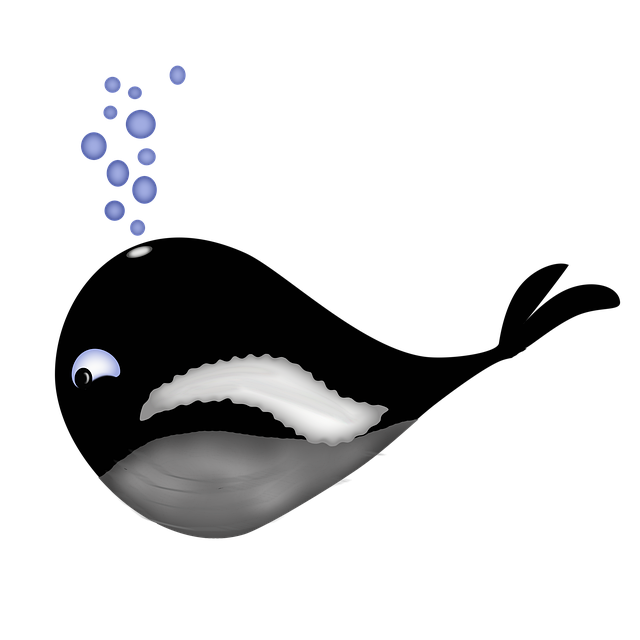 Free whale animal sea illustration