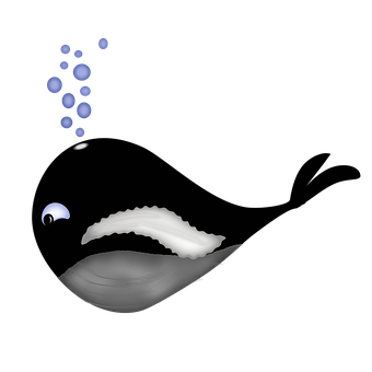Wal, Tier, Meer, Tierwelt, Wasser, Natur
