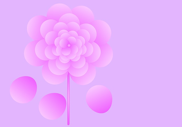 Rosa Blomst, Natur, Vakker Tapet
