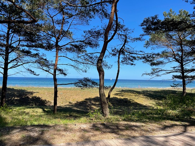 Free To Reprimand Baltic Sea photo and picture