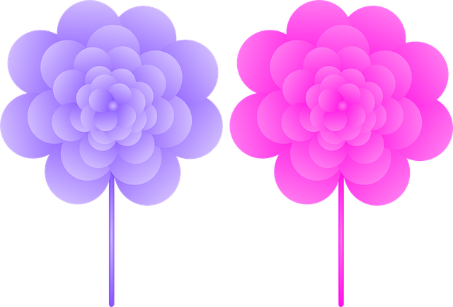 Free flowers beautiful flowers blossom vector