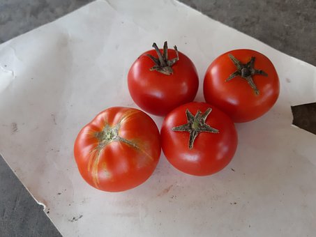 Tomates, Frescos, Italianos, Rojos