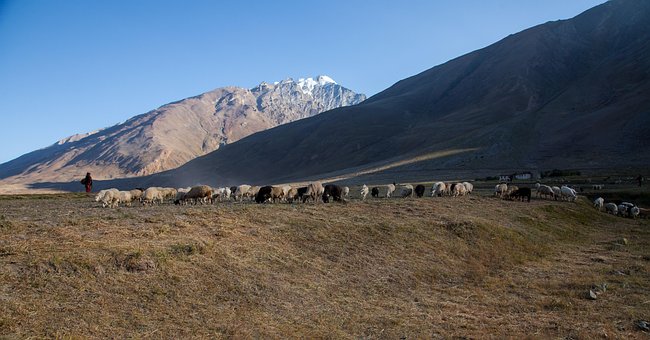 Zanskar, Tibet, Mongol, Kazak, Nomádi