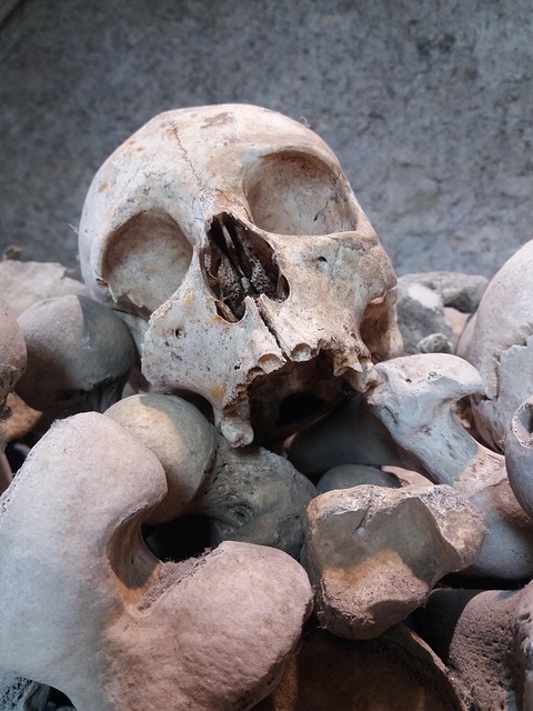 Free Ossuary Skull And Crossbones photo and picture