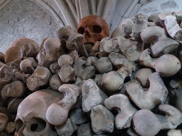 Free Ossuary Memory photo and picture
