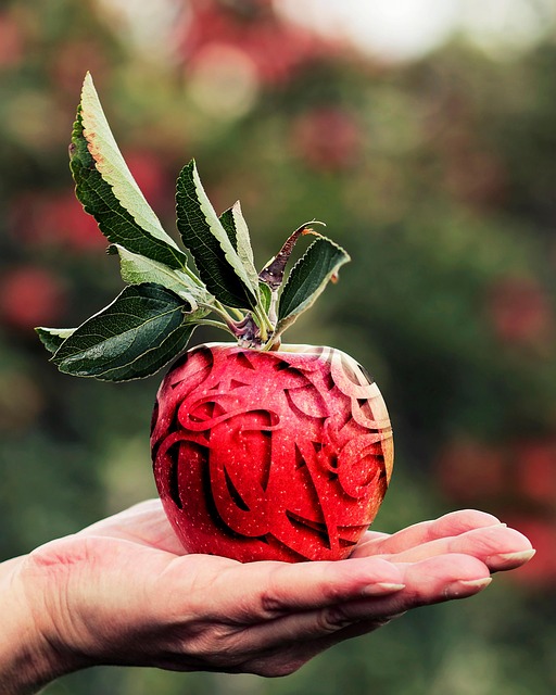 Free apple fruit hand illustration