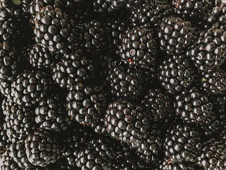 Free Blackberry Free Wallpaper photo and picture