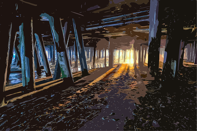 Free under the boardwalk nature beach vector