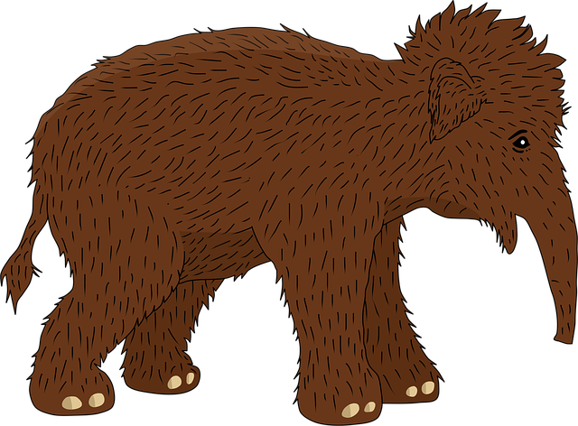 Baby, Mammut, Ausgestorben