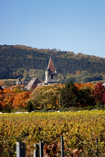 Herfst, Oostenrijk, Dorp, Landschap