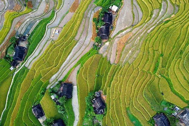 稻田 水稻梯田 农村 - Pixabay上的免费照片 - Pixabay