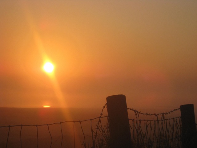 Free Sunrise Fog photo and picture