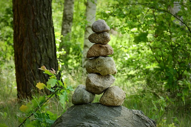 Bos, Samenstelling, Stenen, Regeling