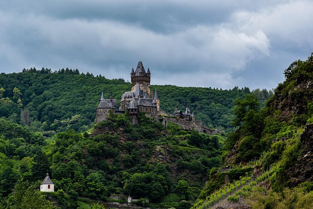 Free Castle Forest photo and picture