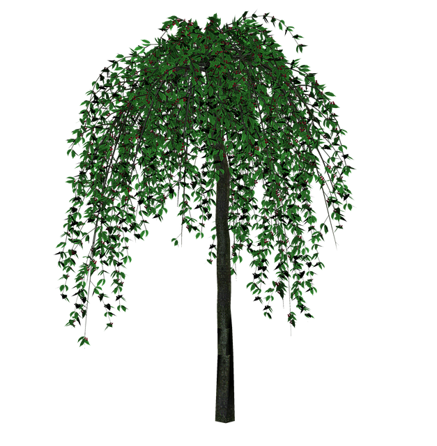 Free Tree Nature illustration and picture