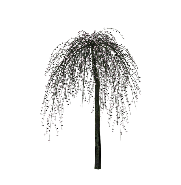 Free Tree Nature illustration and picture
