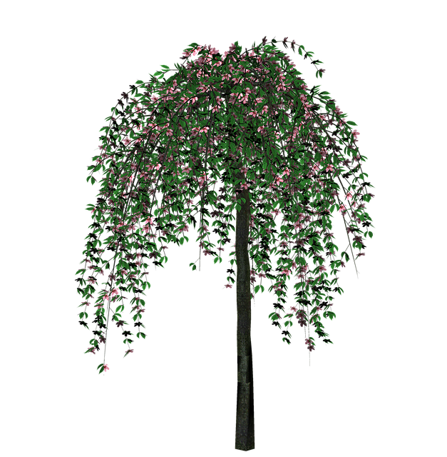 Free Tree Nature illustration and picture